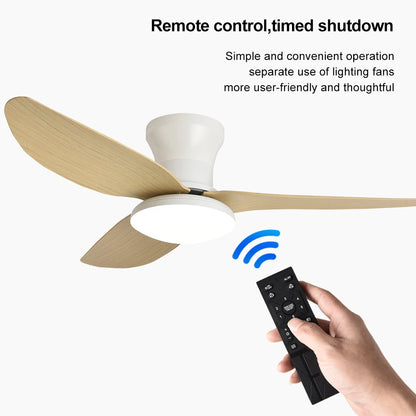 Electric Bedroom Ceiling Fan With Light