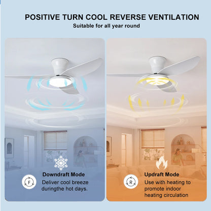 Electric Bedroom Ceiling Fan With Light