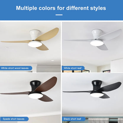 Electric Bedroom Ceiling Fan With Light